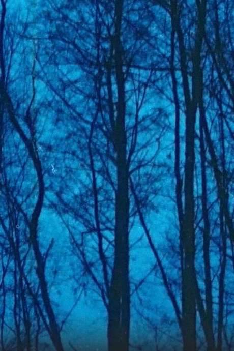 Desastres naturales